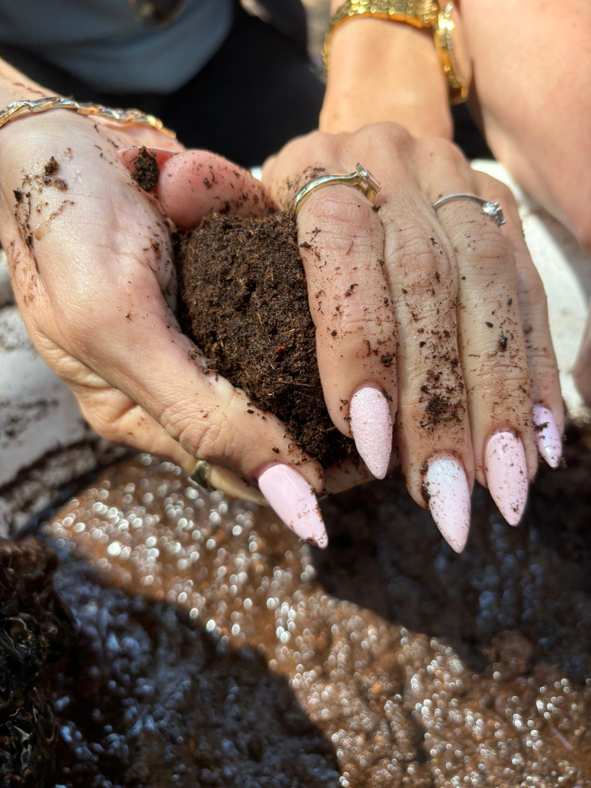 🌿 סדנת טרריום – עולם קטן בירוק