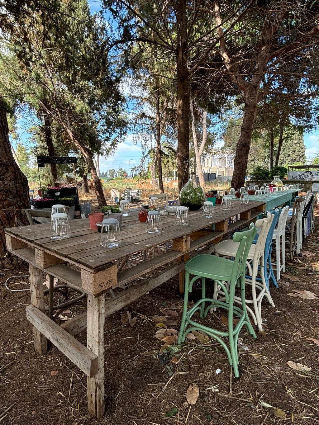 🌿 סדנת טרריום – עולם קטן בירוק